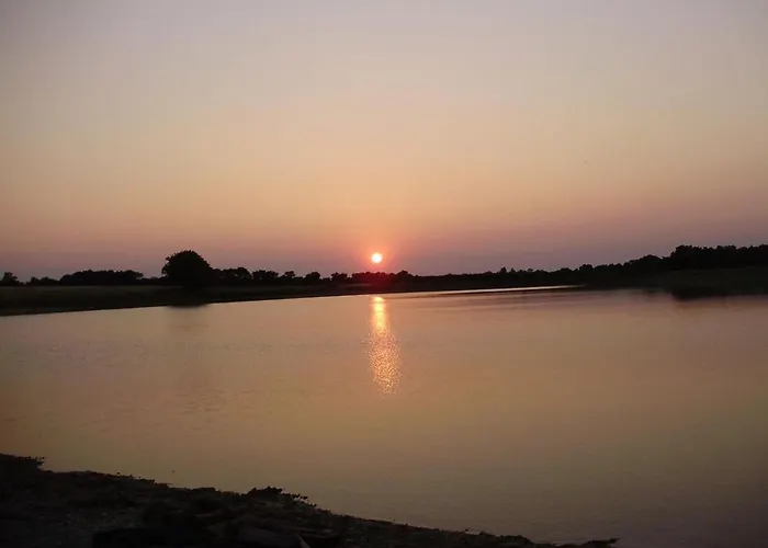 Authentique Avec Cheminée, Terrasse Privée, Accessible Pmr, Pêche Et Activités Ulm - Vendée - Fr-1-426-431 *